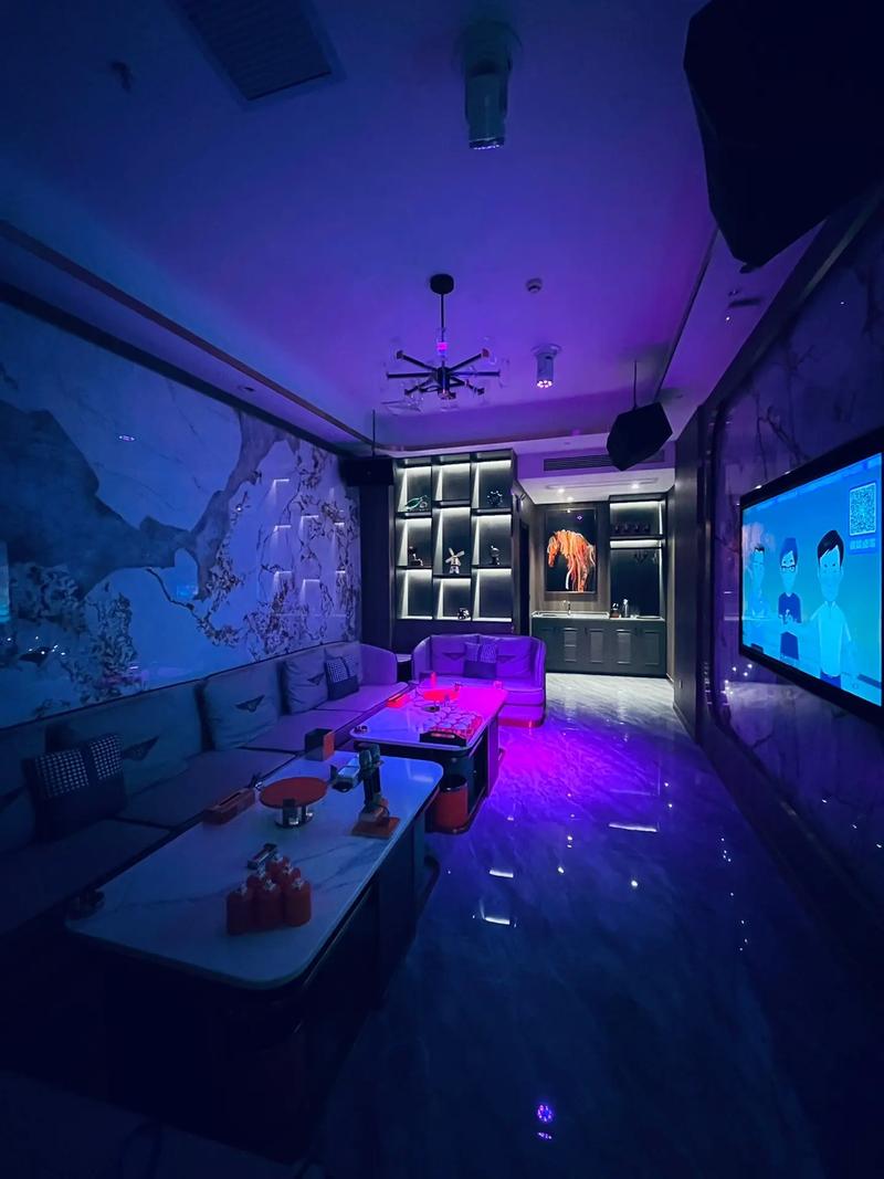 六安商务ktv最佳预订-金寨县ktv预订